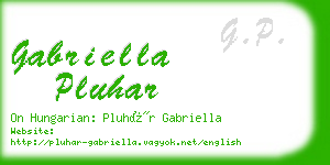 gabriella pluhar business card